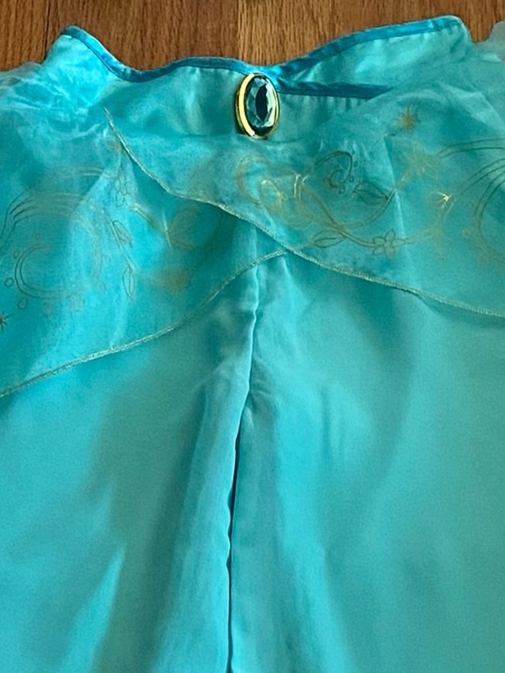 Disney Store Princess Jasmine Costume with Gold Accents - Picture 3 of 6